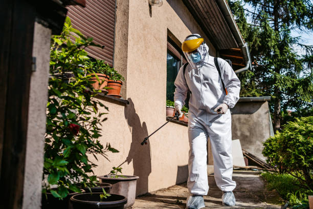 Best Residential Pest Control  in Olmos Park, TX